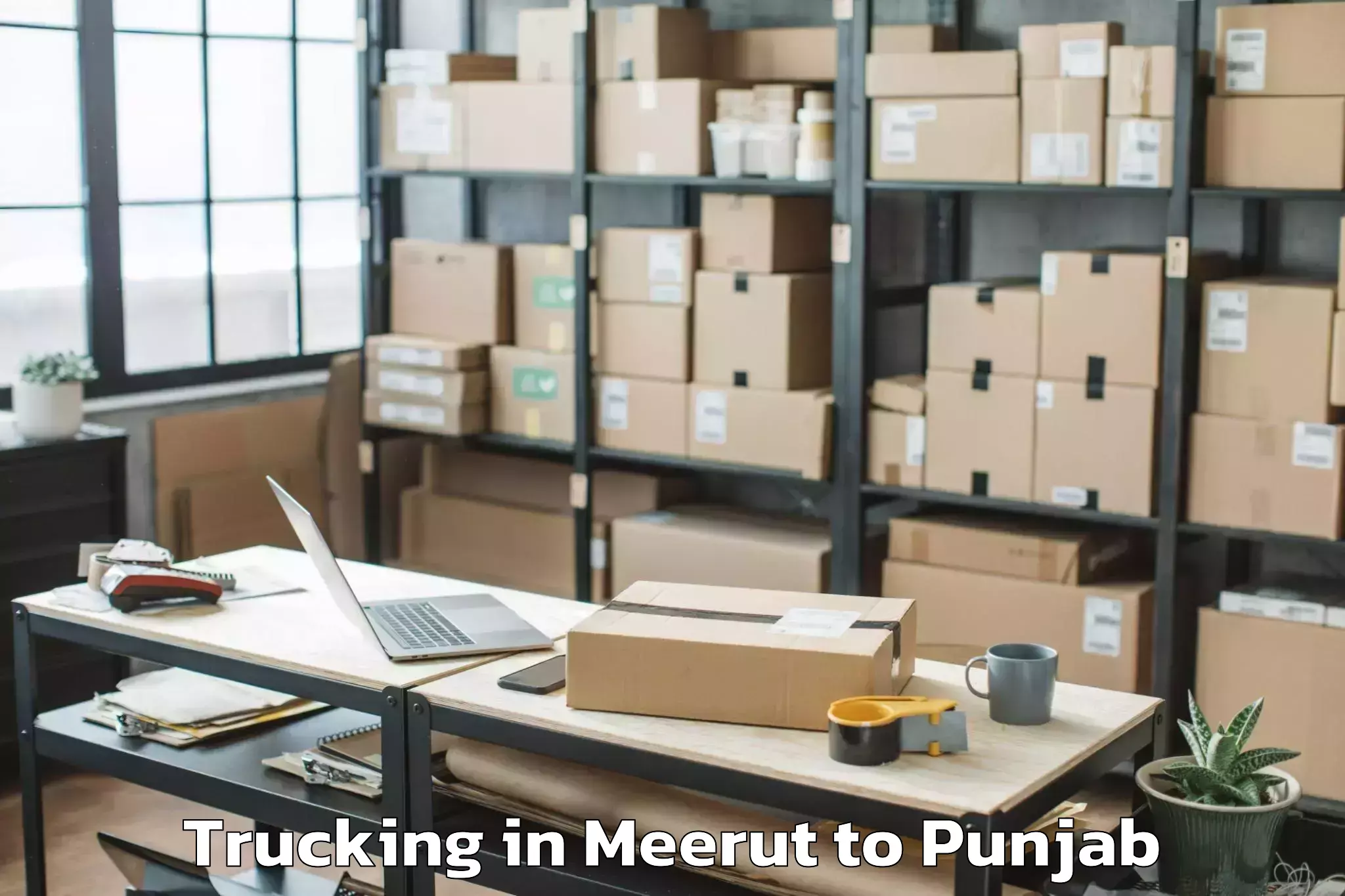 Book Meerut to Moga Trucking Online